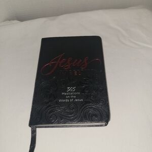 Jesus in Red: 365 Meditations on the Words of Jesus (Imitation Leather)